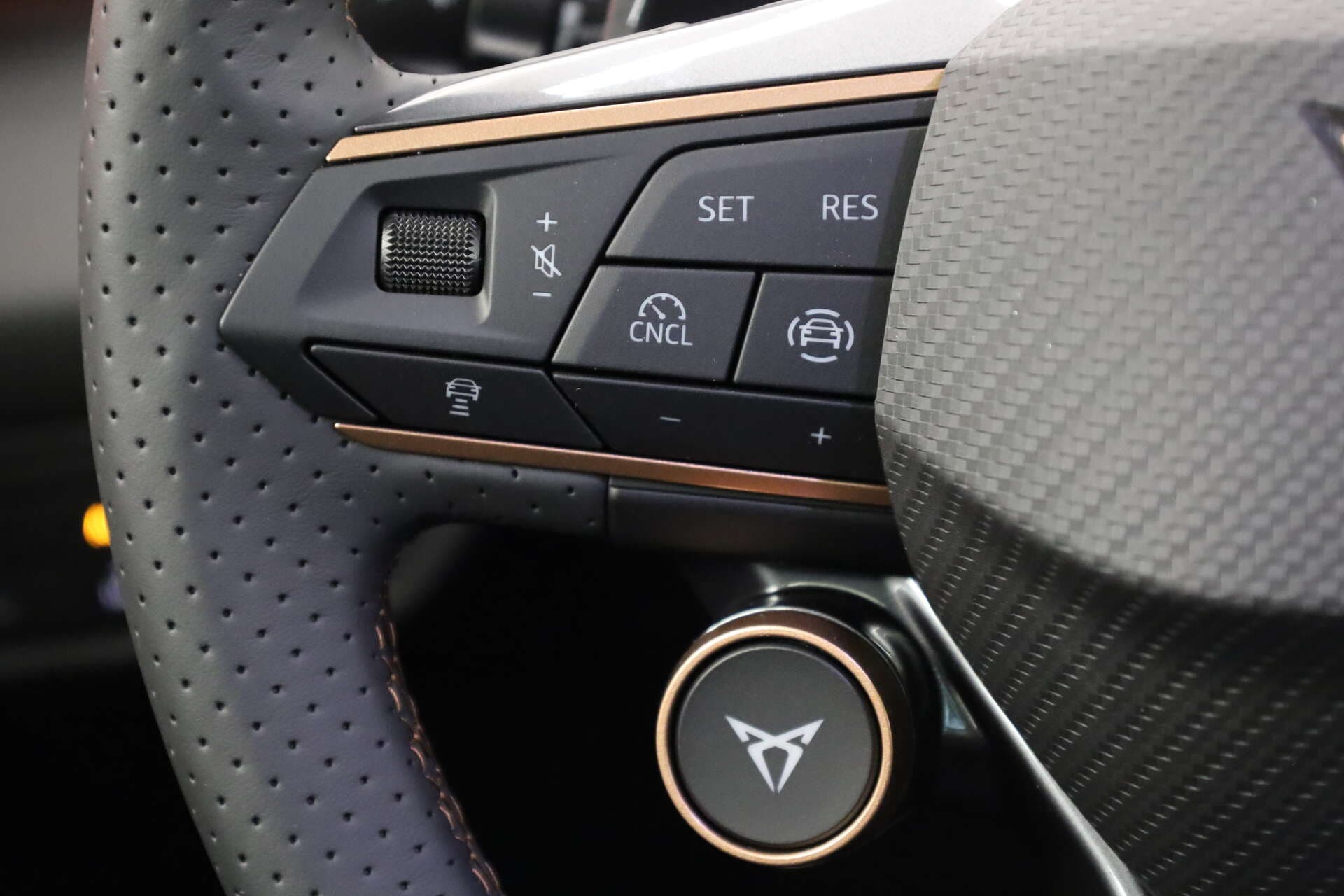 CUPRA Terramar, photo 9 sur 17