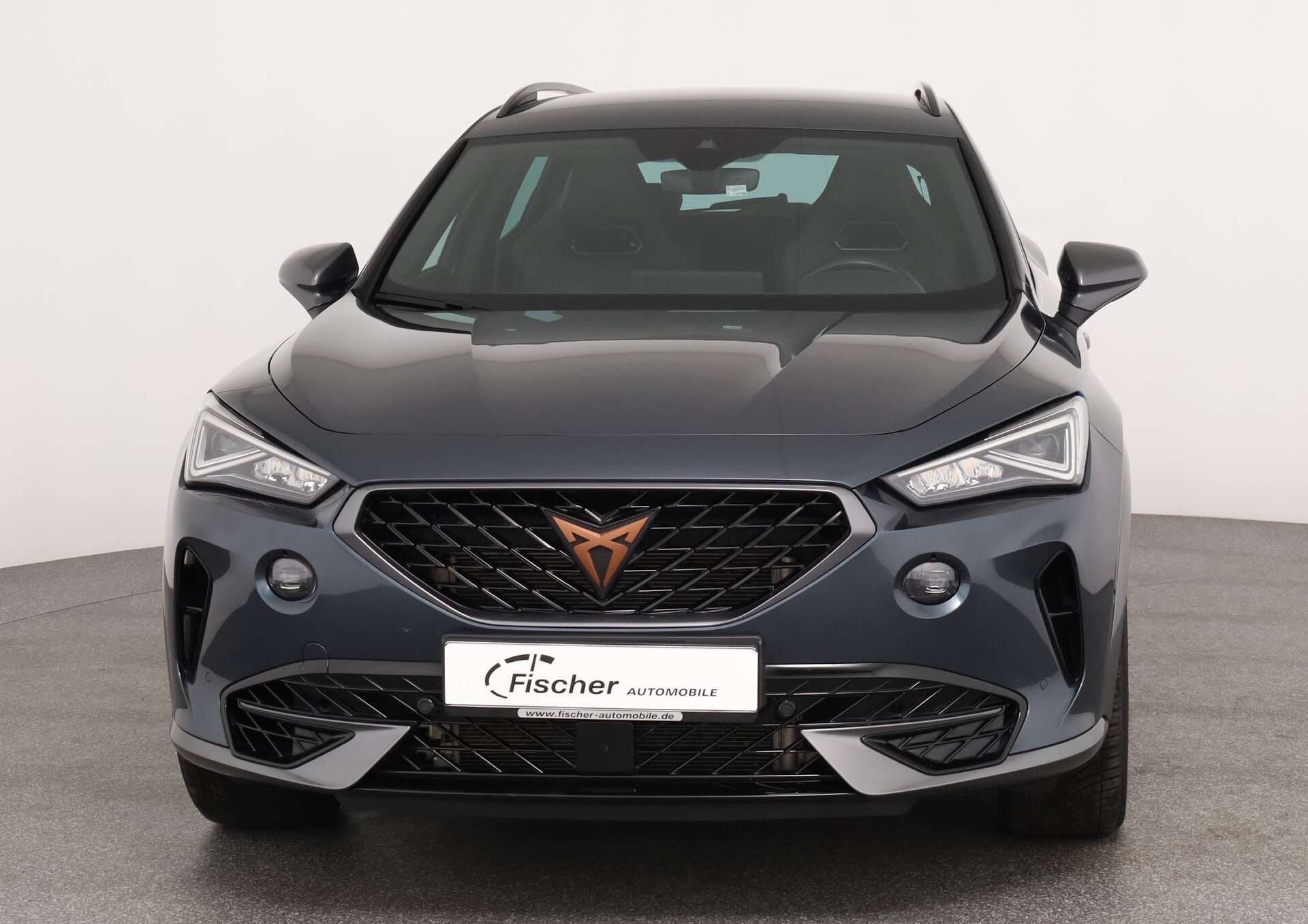 CUPRA Formentor, photo 2 sur 17
