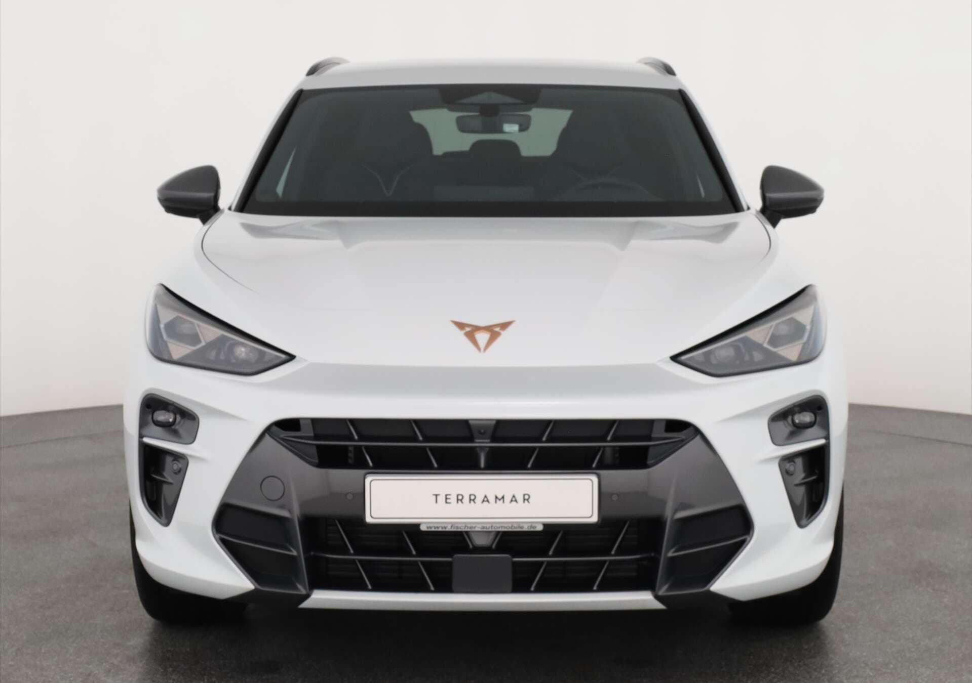 CUPRA Terramar, photo 2 sur 17