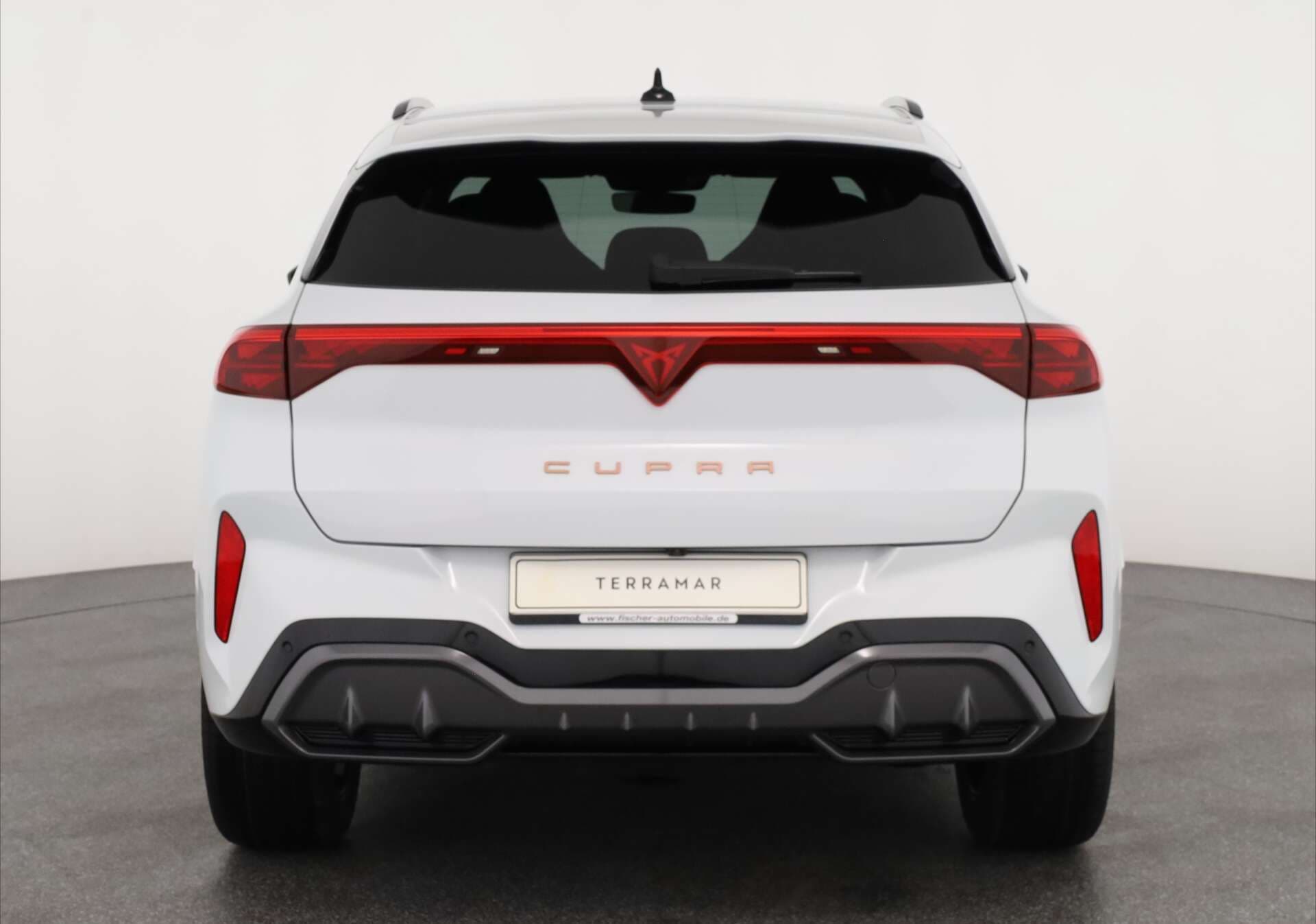 CUPRA Terramar, photo 5 sur 17