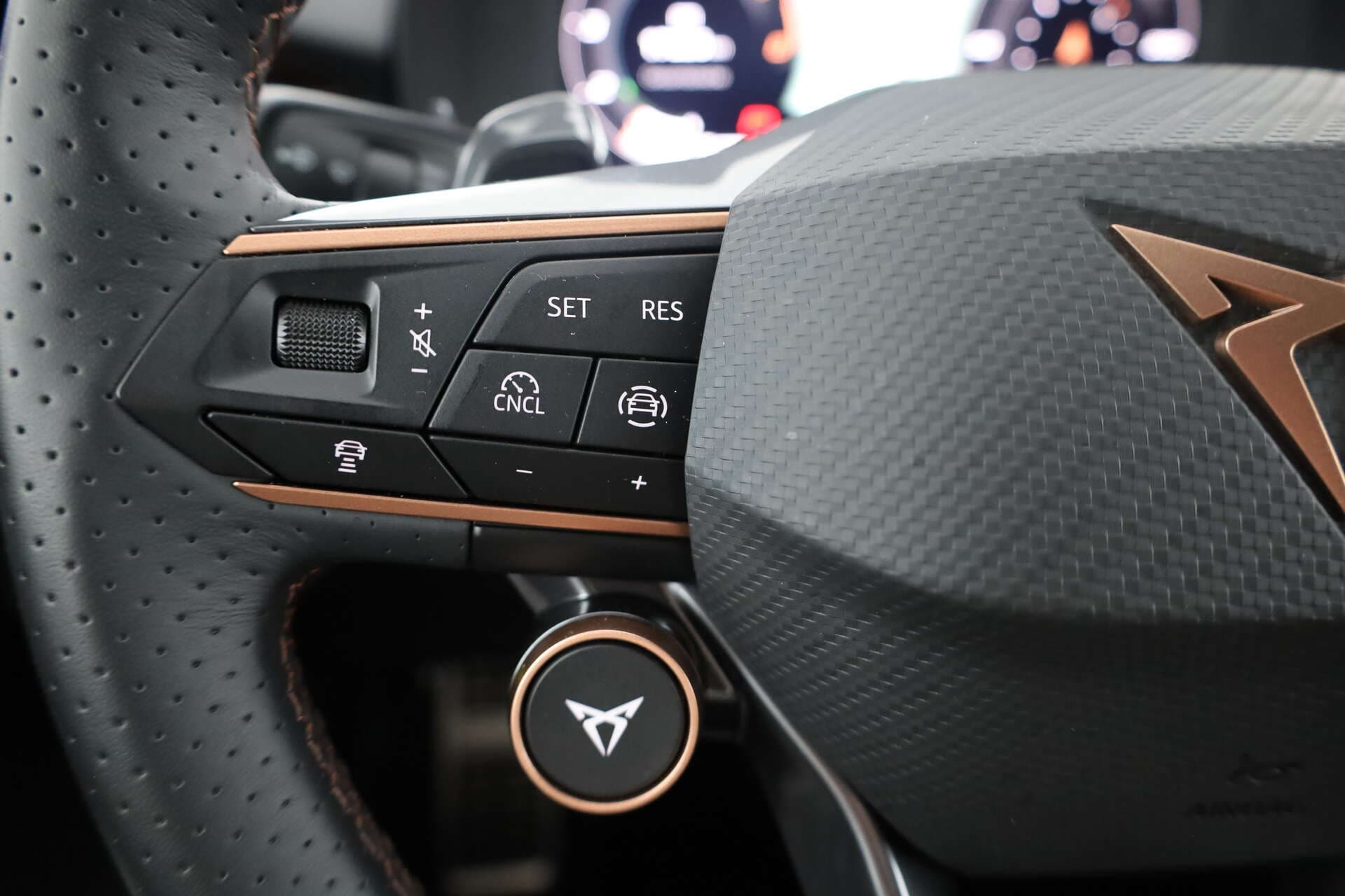 CUPRA Terramar, photo 13 sur 17