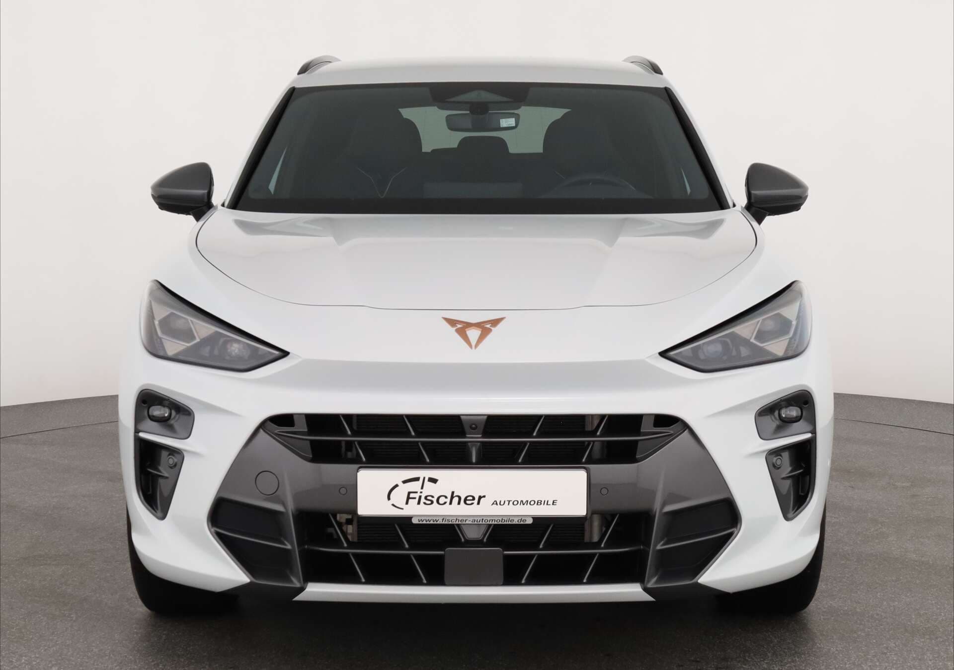 CUPRA Terramar, photo 2 sur 17