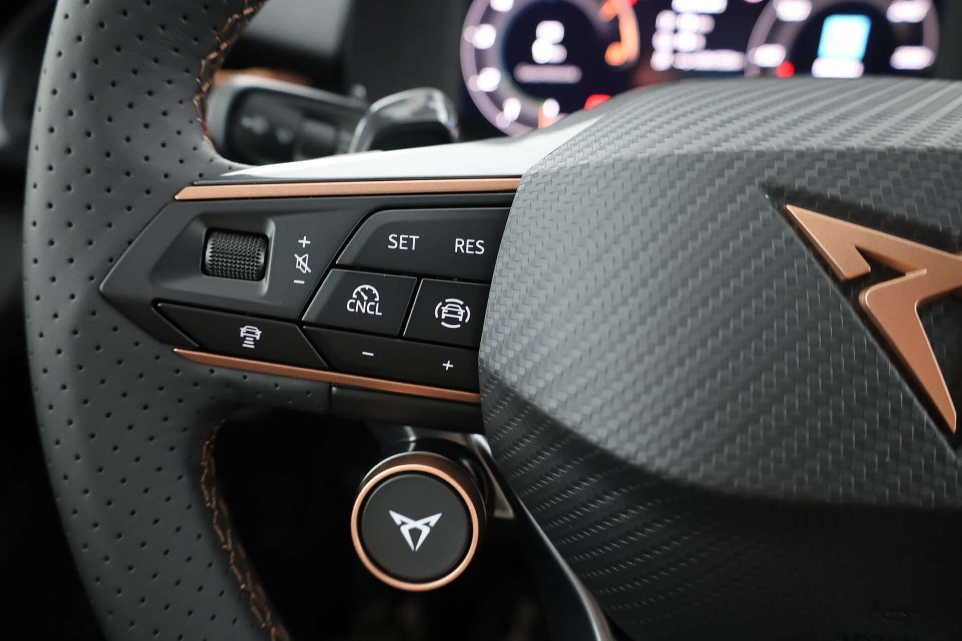 CUPRA Terramar, photo 13 sur 17