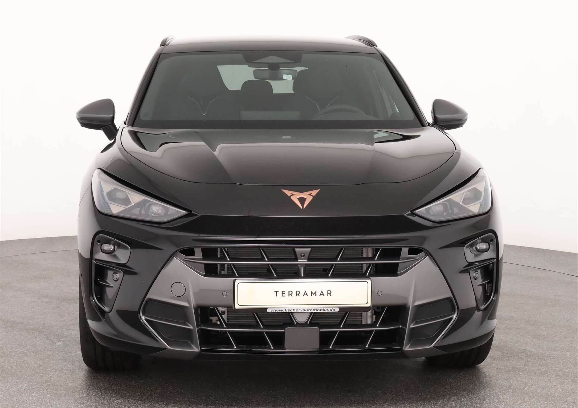 CUPRA Terramar, photo 2 sur 17