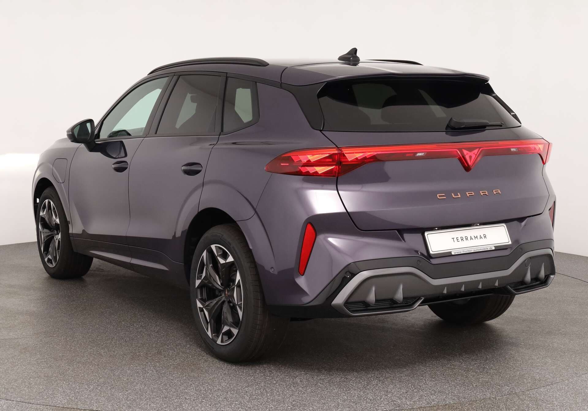 CUPRA Terramar, photo 3 sur 17