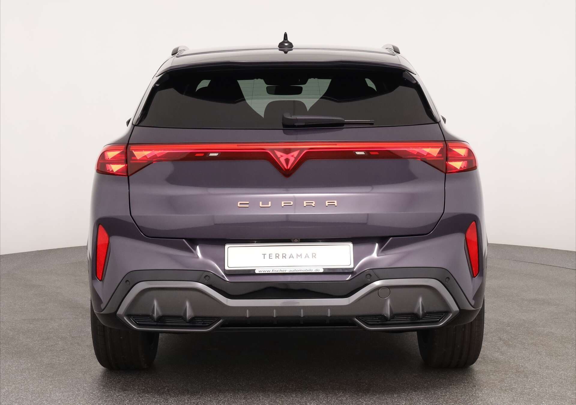 CUPRA Terramar, photo 5 sur 17