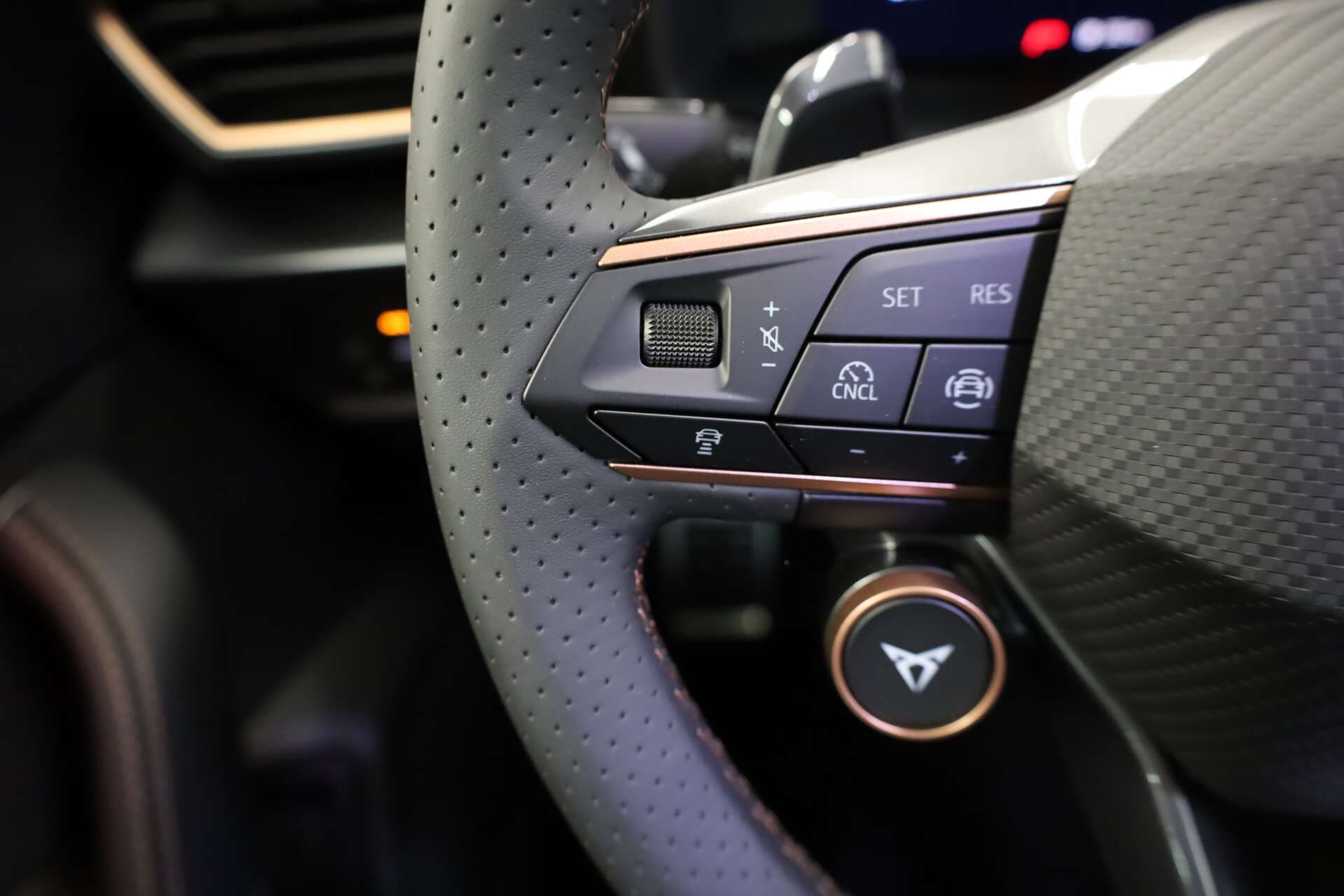 CUPRA Leon Sportstourer, photo 9 sur 17