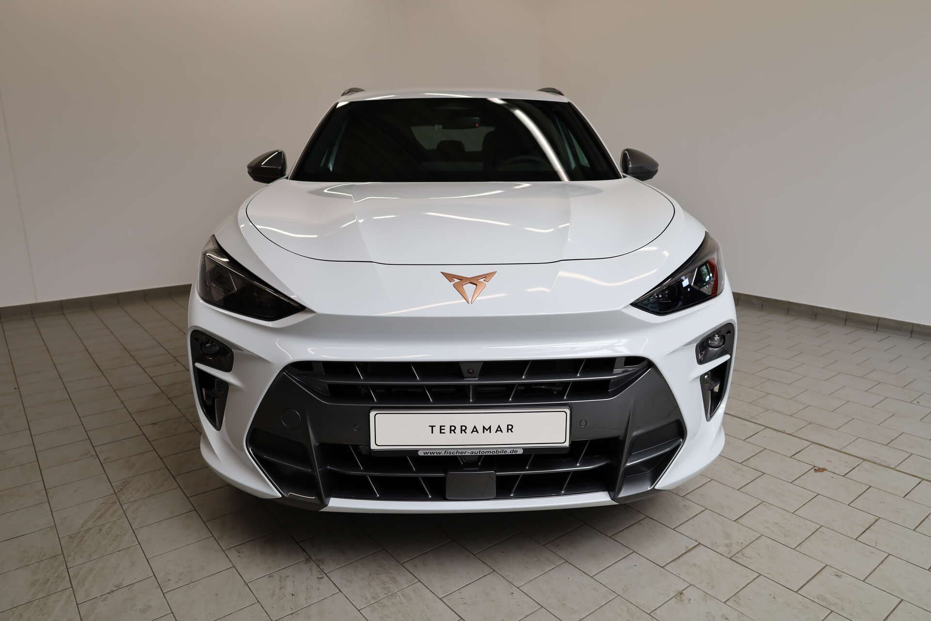 CUPRA Terramar, photo 2 sur 17
