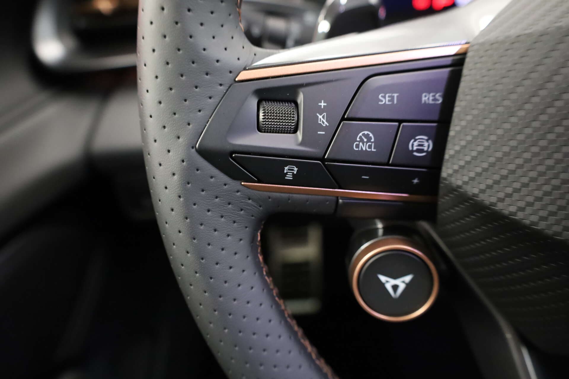 CUPRA Terramar, photo 9 sur 17