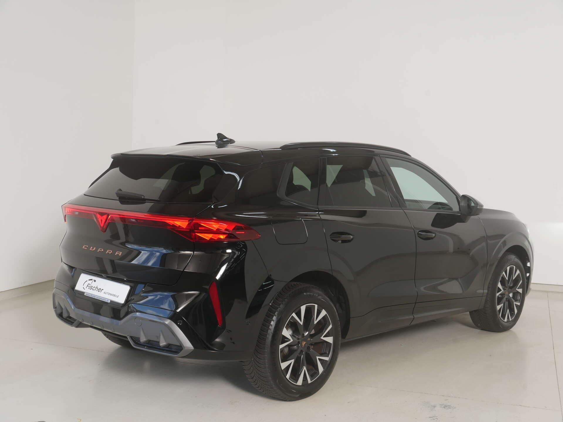CUPRA Terramar, photo 6 sur 17