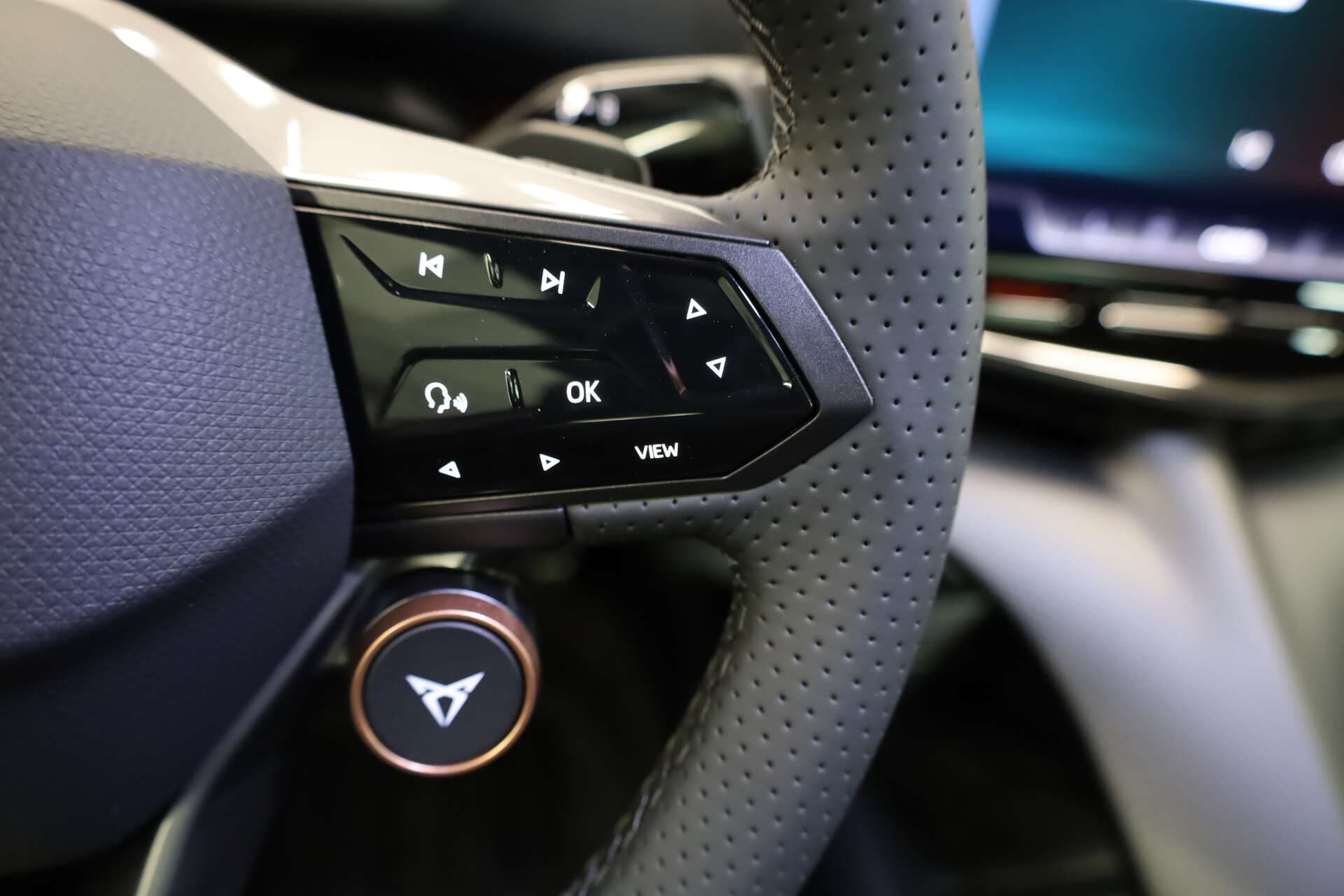 CUPRA Tavascan, photo 10 sur 17