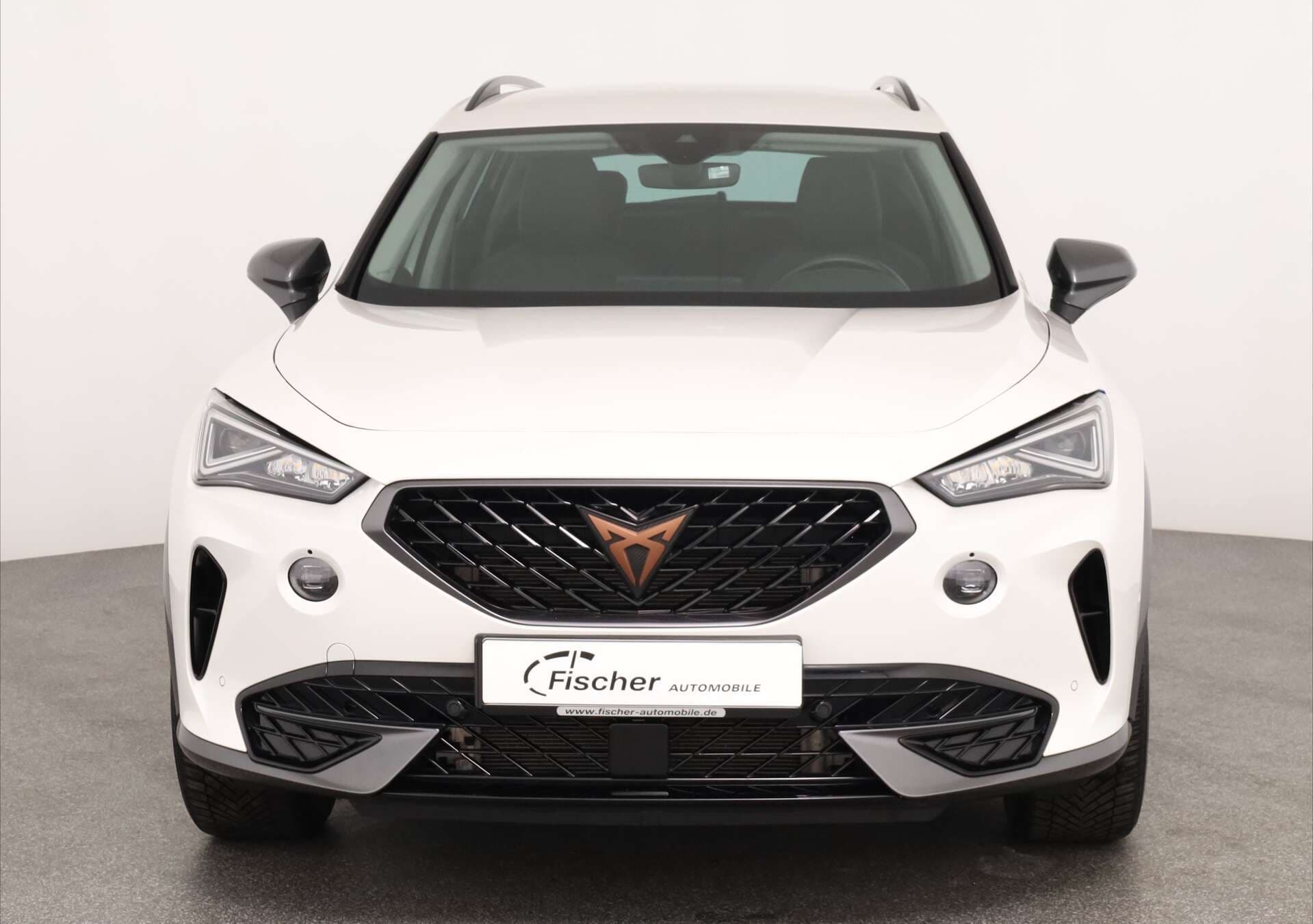 CUPRA Formentor, photo 2 sur 17