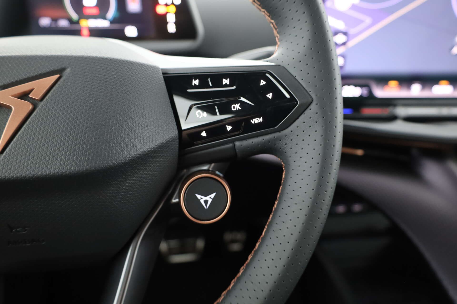 CUPRA Tavascan, photo 14 sur 16