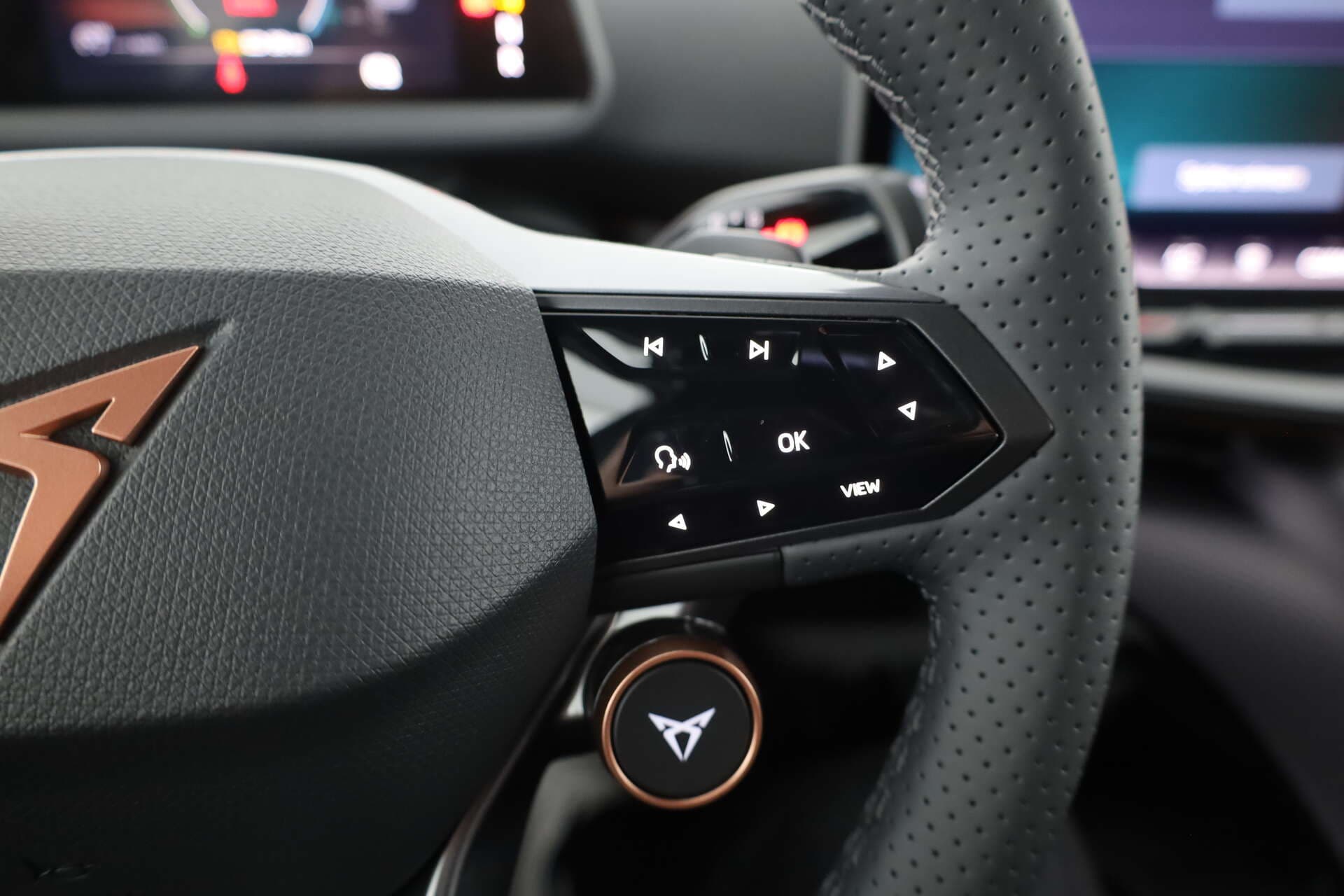 CUPRA Tavascan, photo 14 sur 17