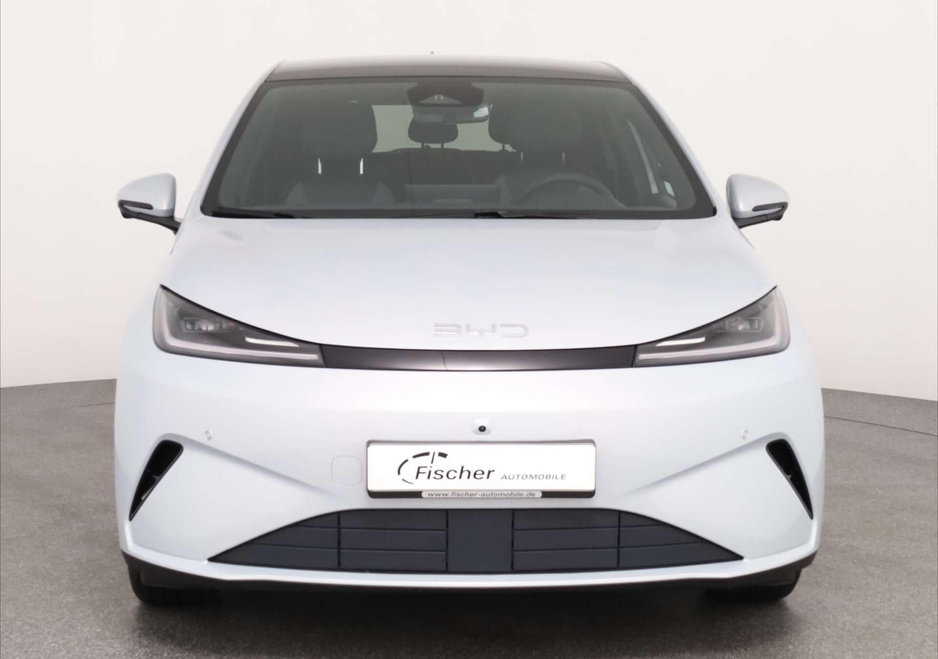 BYD Dolphin G, photo 2 sur 17