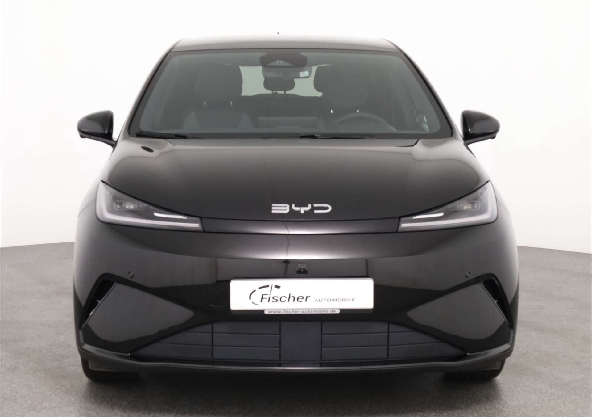 BYD Dolphin G, photo 2 sur 17