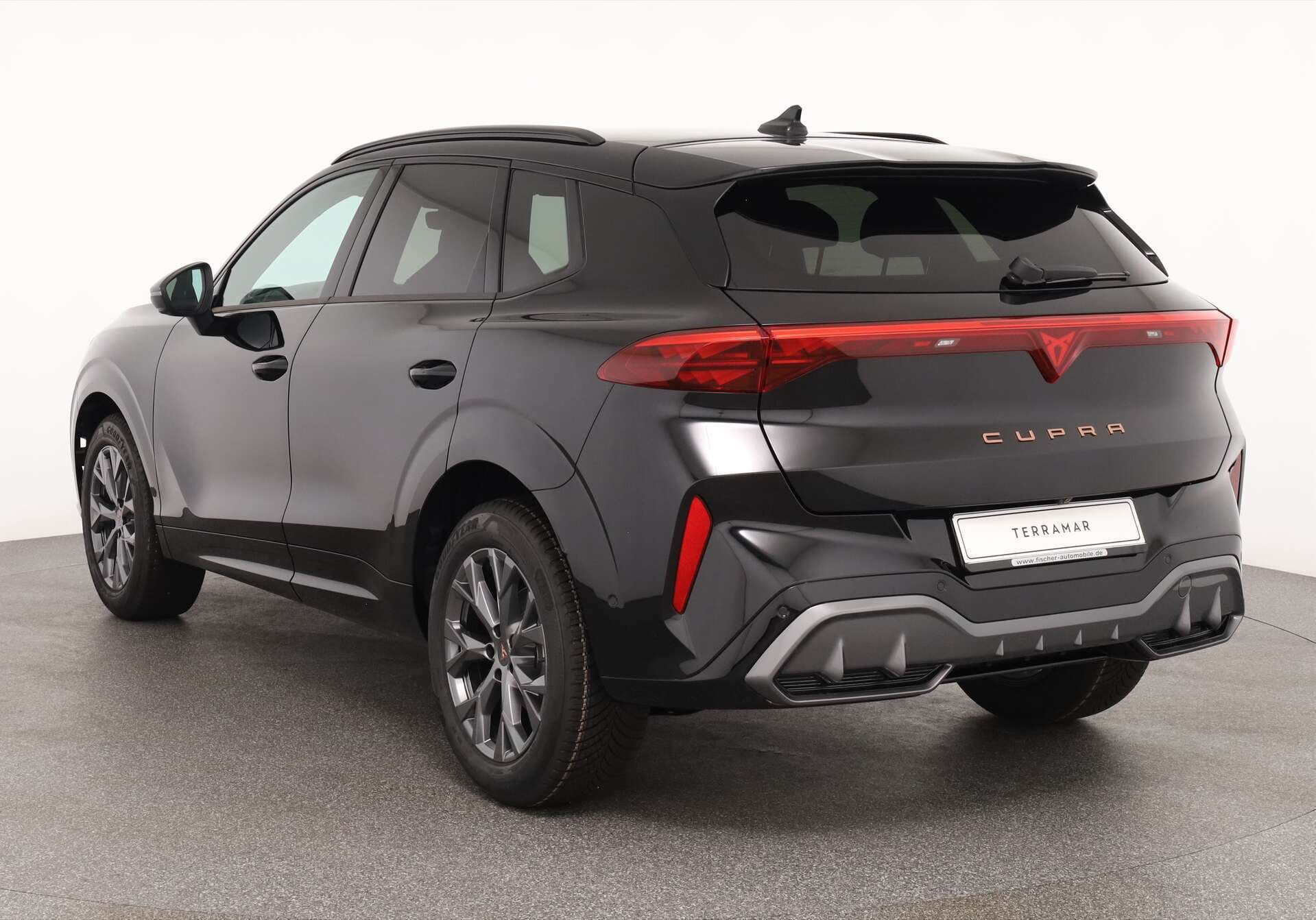 CUPRA Terramar, photo 3 sur 17