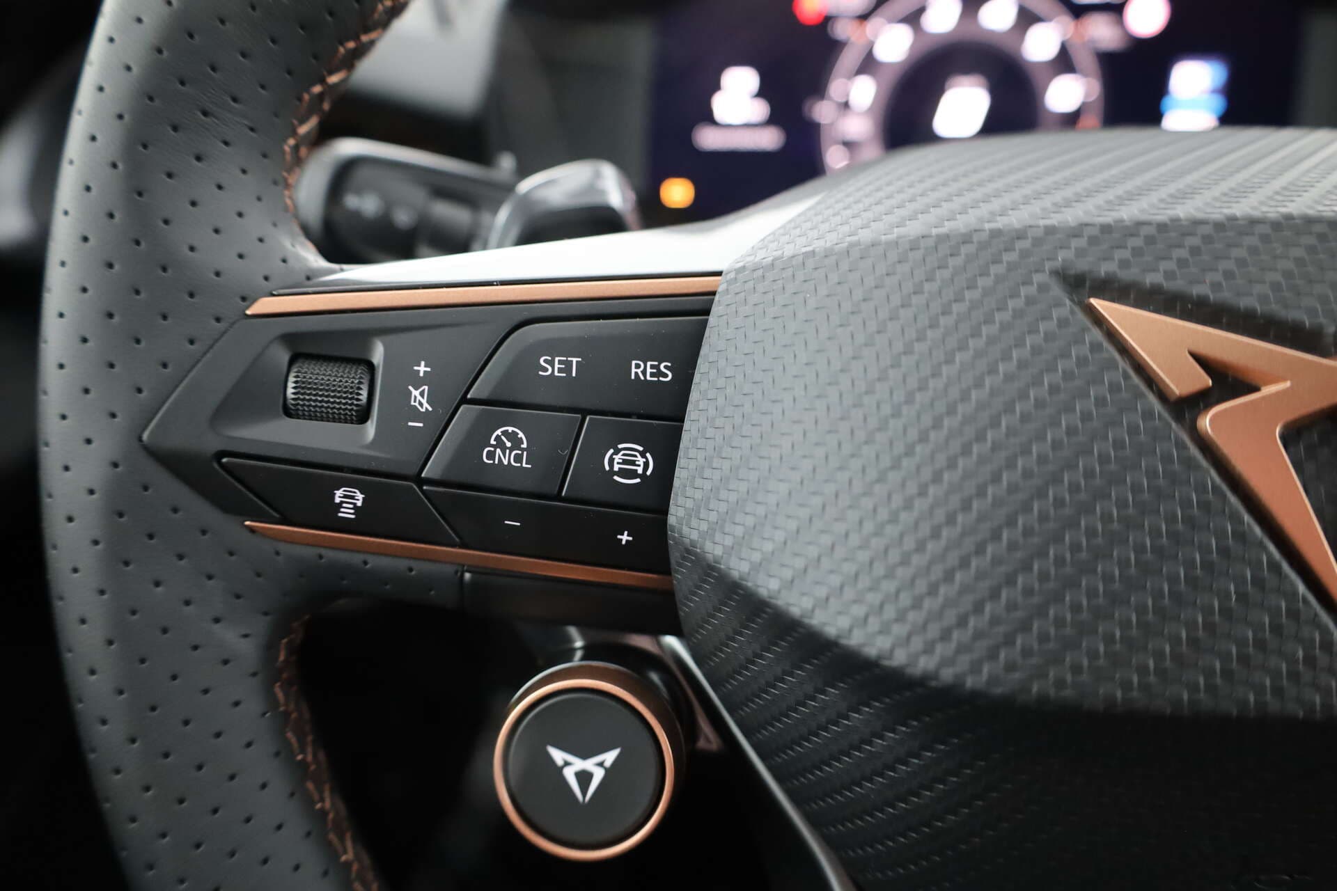 CUPRA Terramar, photo 13 sur 17