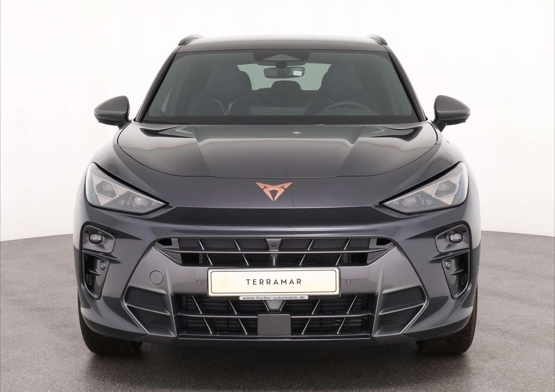 CUPRA Terramar, photo 2 sur 17