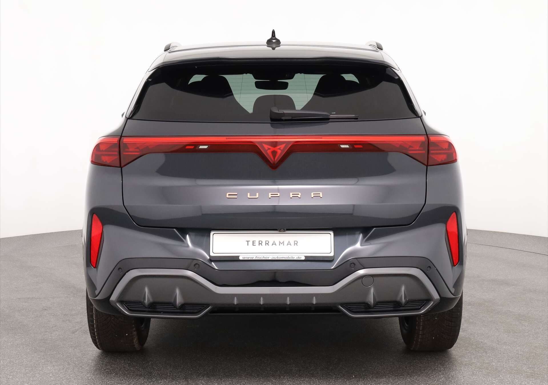 CUPRA Terramar, photo 5 sur 17