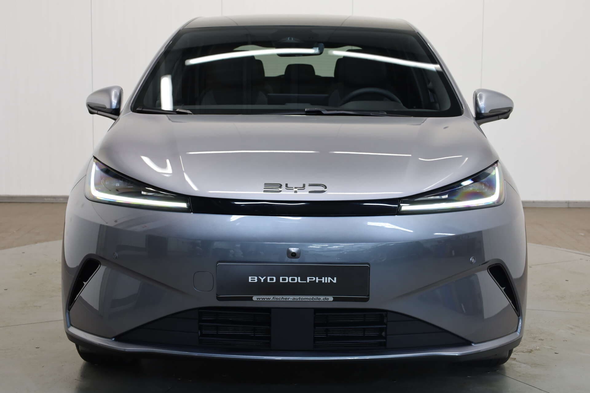 BYD Dolphin G, photo 2 sur 17