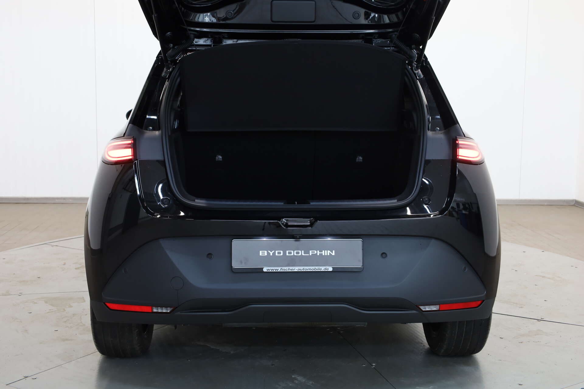 BYD Dolphin G, photo 11 sur 17