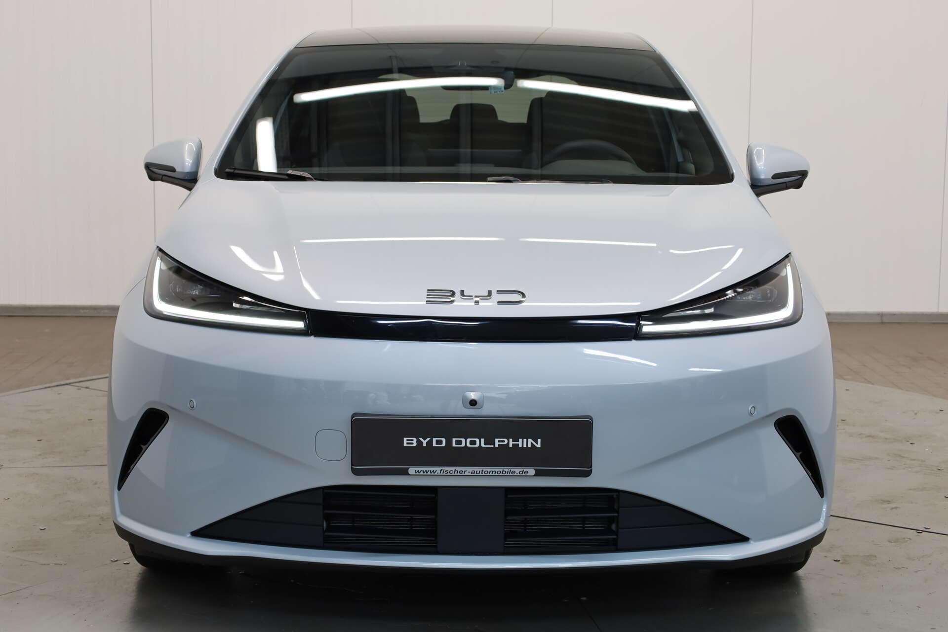 BYD Dolphin G, photo 2 sur 17