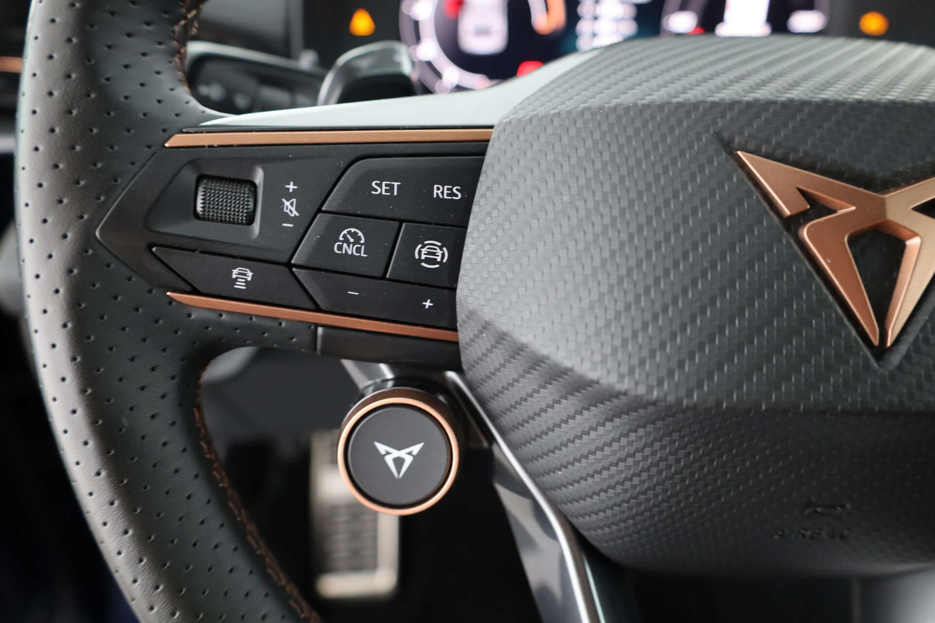 CUPRA Terramar, photo 11 sur 13