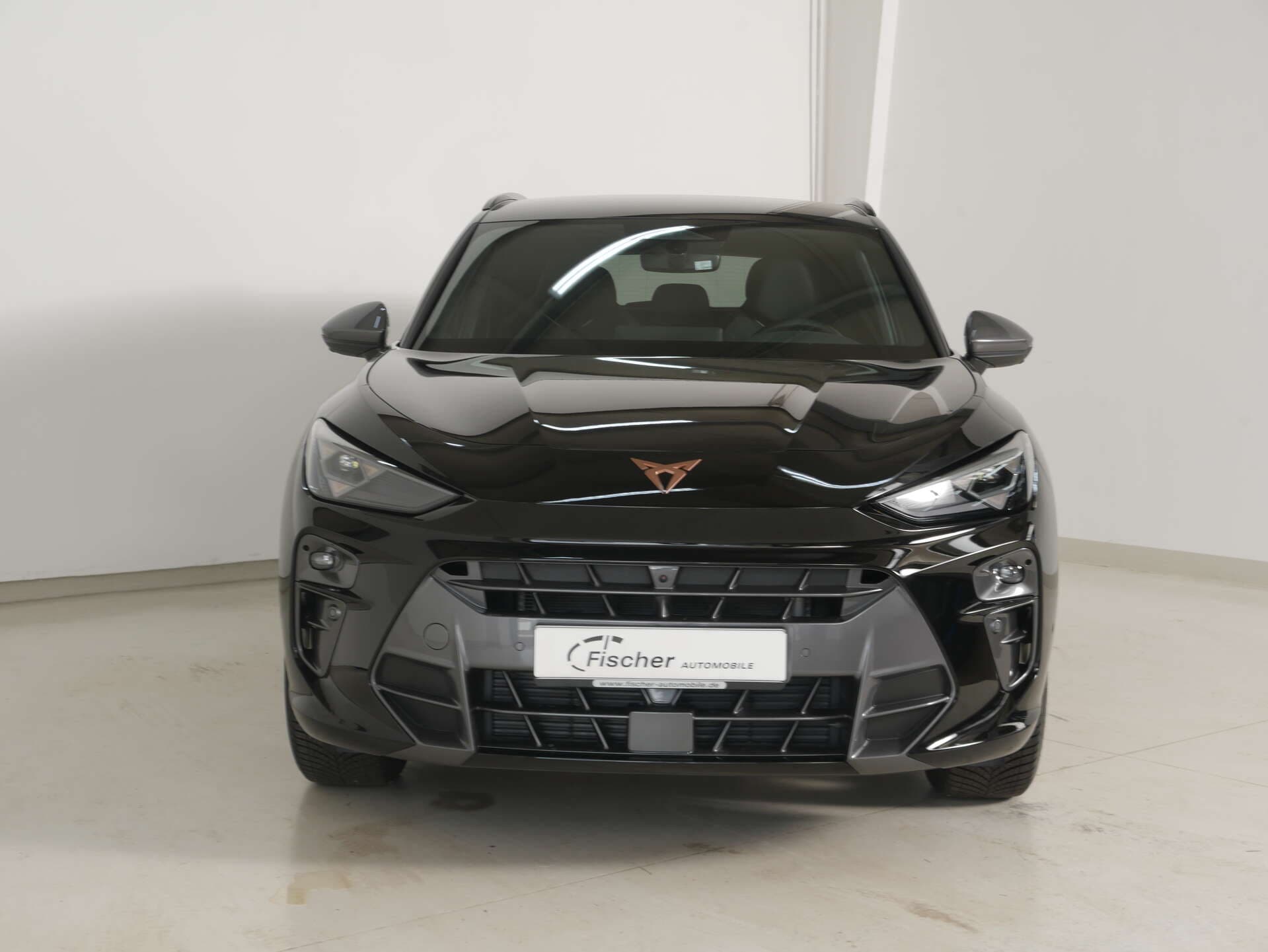CUPRA Terramar, photo 2 sur 17