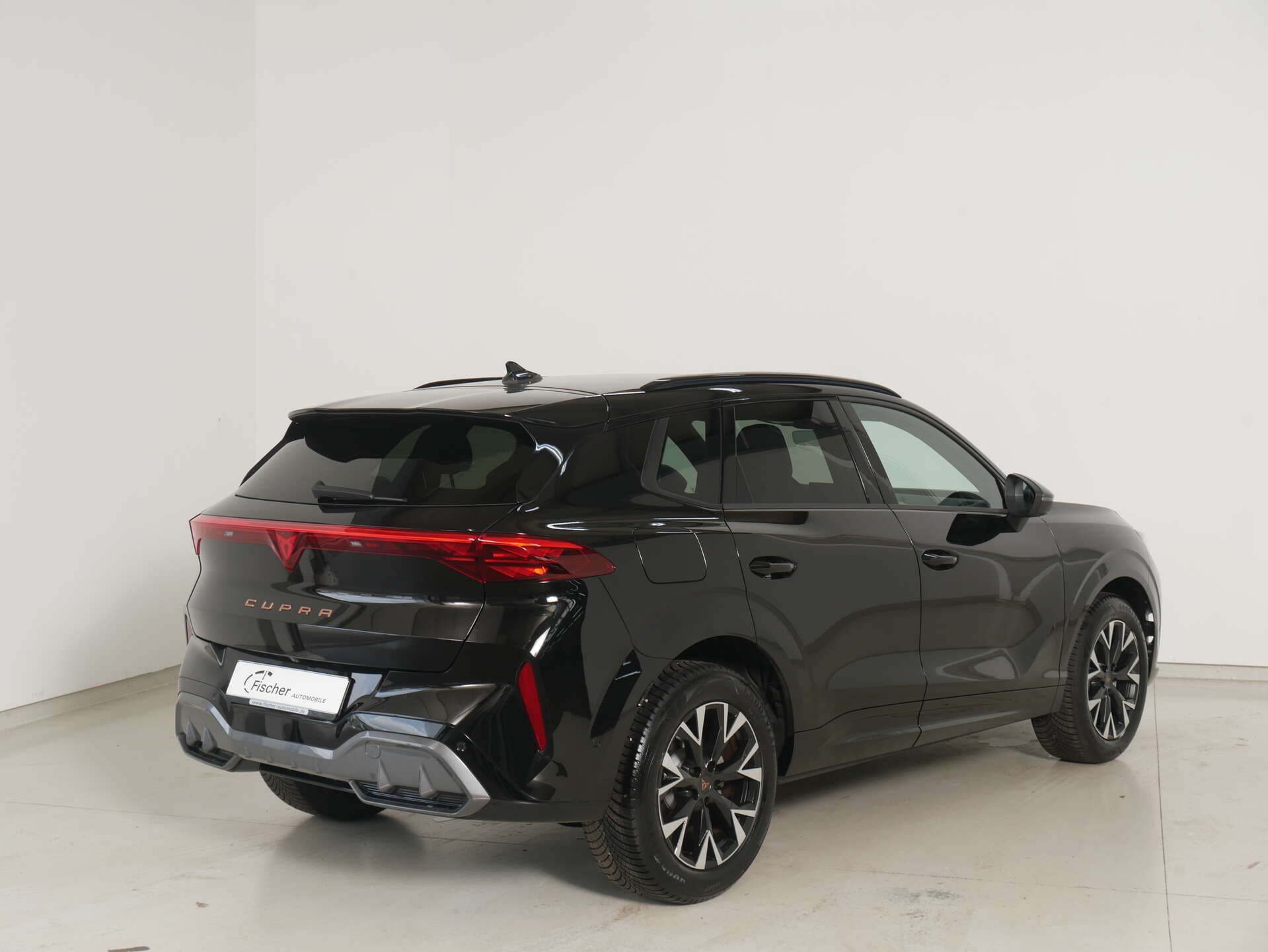 CUPRA Terramar, photo 4 sur 17