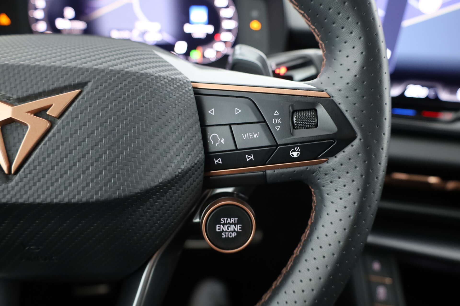 CUPRA Terramar, photo 15 sur 17