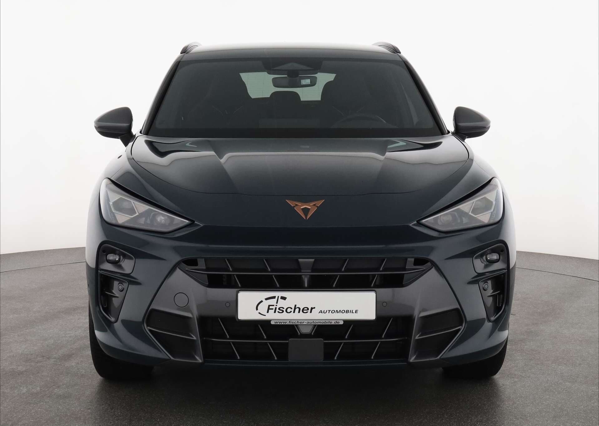 CUPRA Terramar, photo 2 sur 17