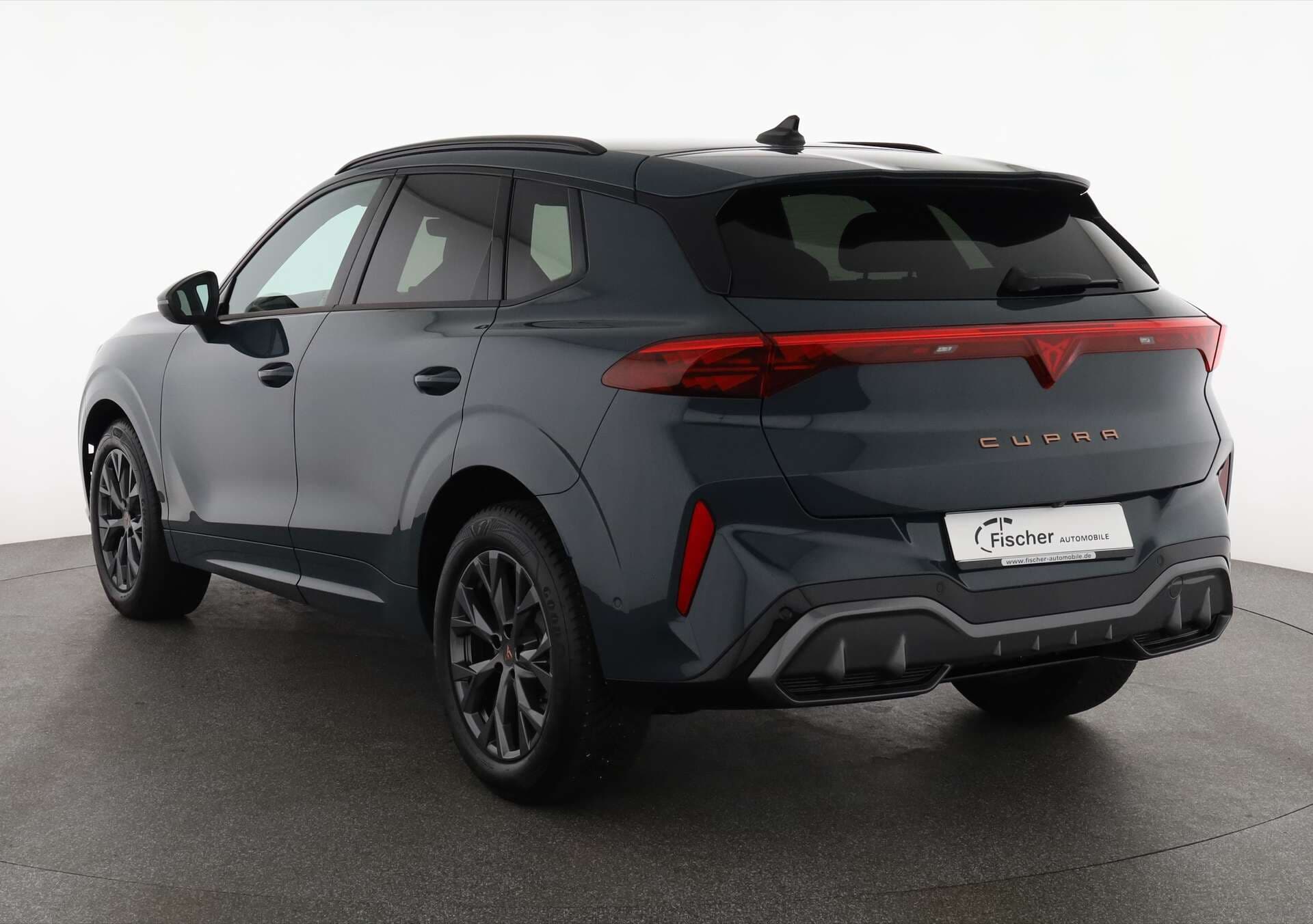 CUPRA Terramar, photo 3 sur 17