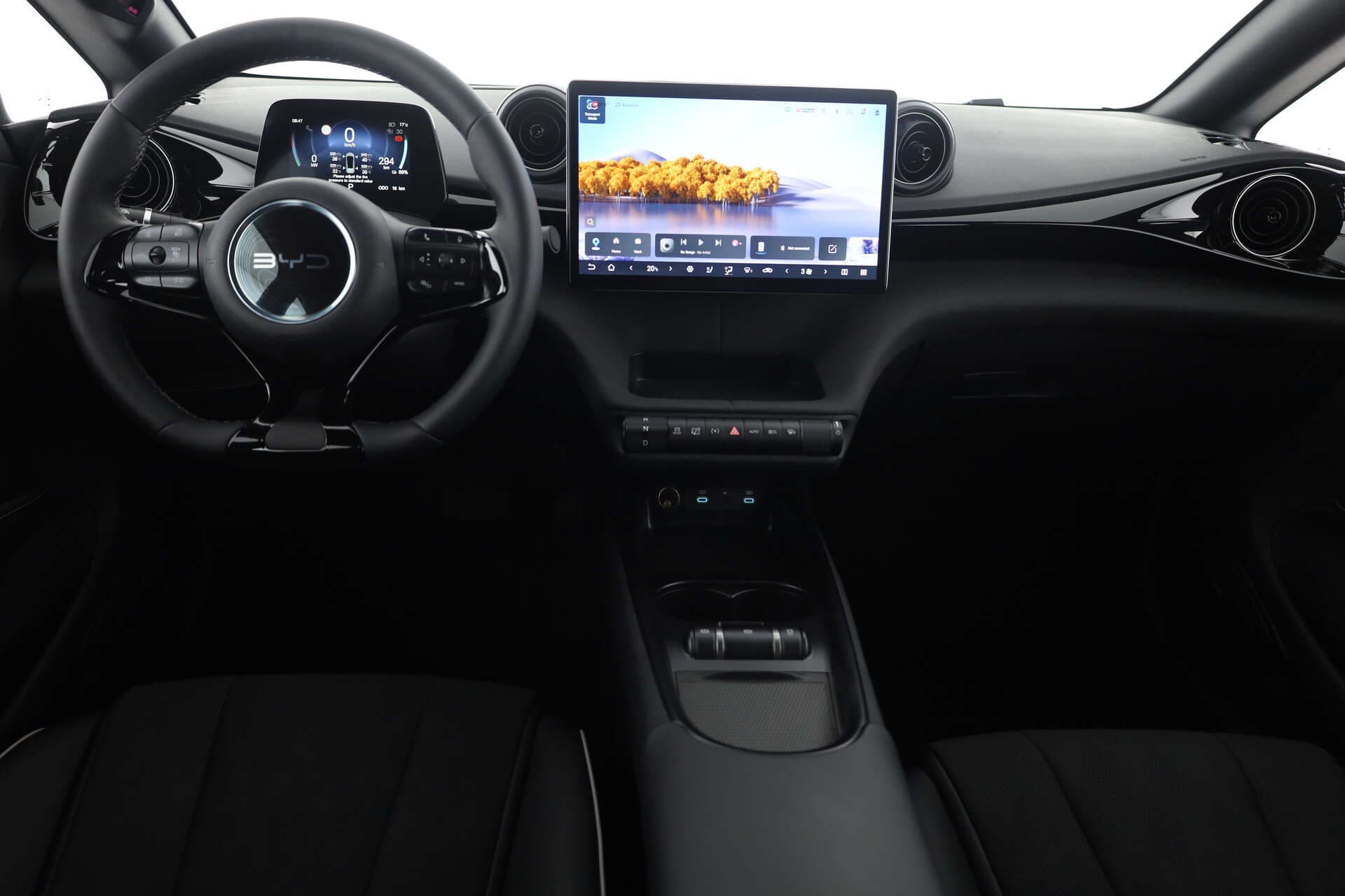 BYD Dolphin, photo 9 sur 17