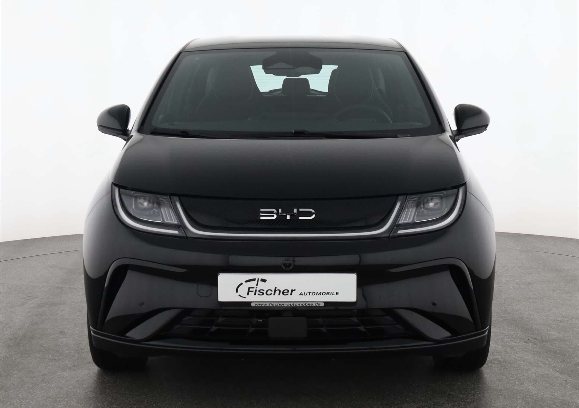 BYD Dolphin, photo 2 sur 17