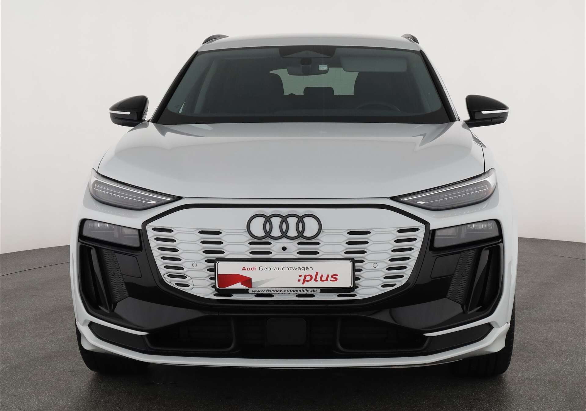 AUDI Q6 SUV, photo 2 sur 17