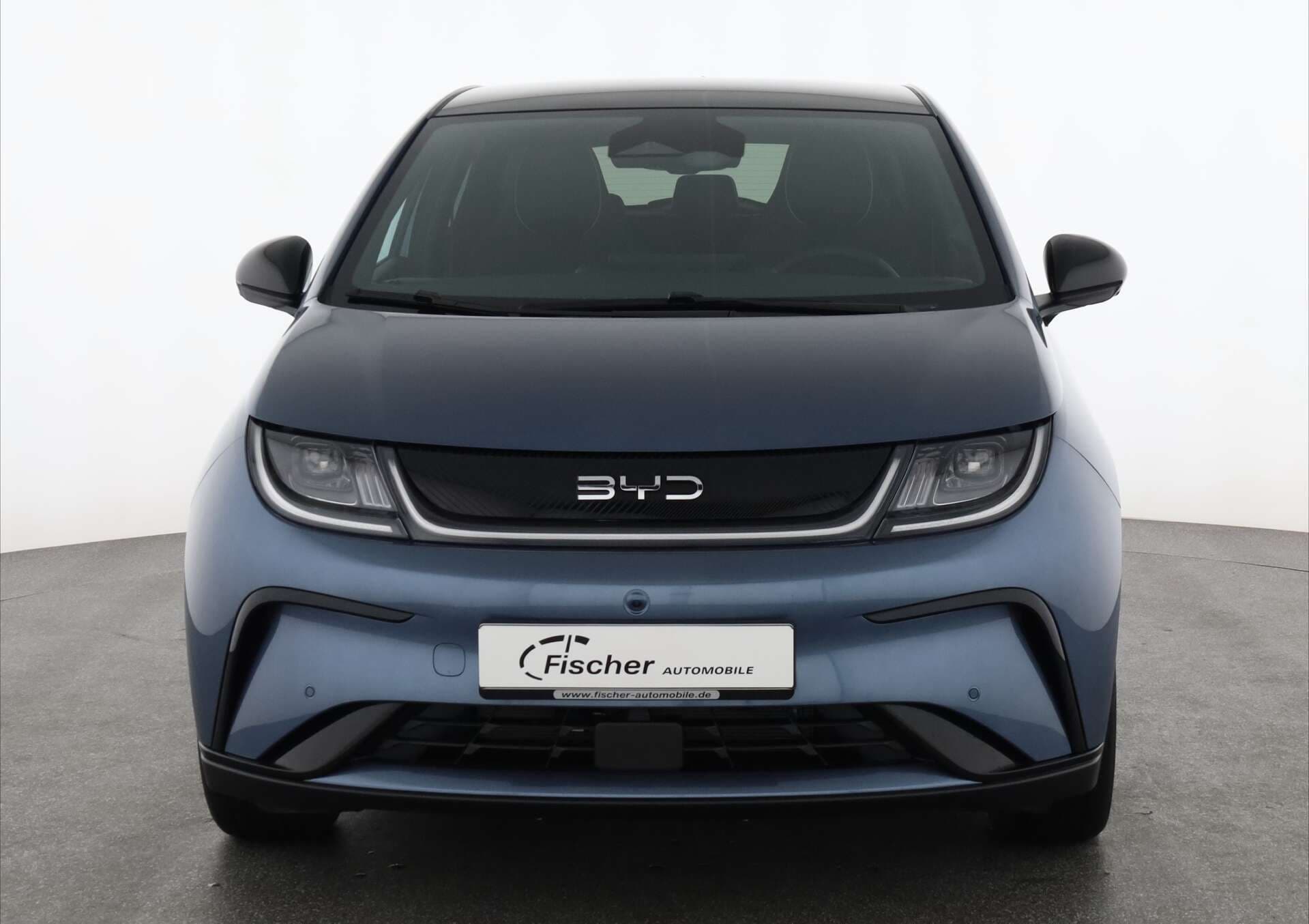 BYD Dolphin, photo 2 sur 17