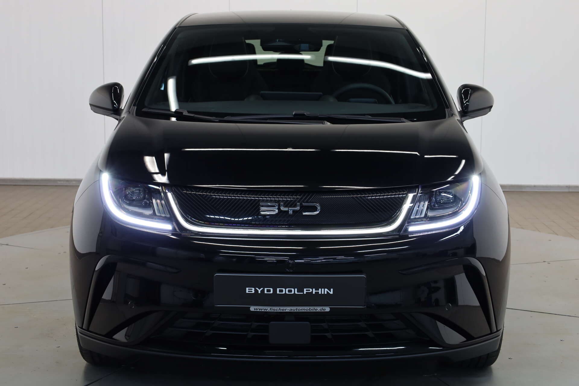 BYD Dolphin, photo 2 sur 17