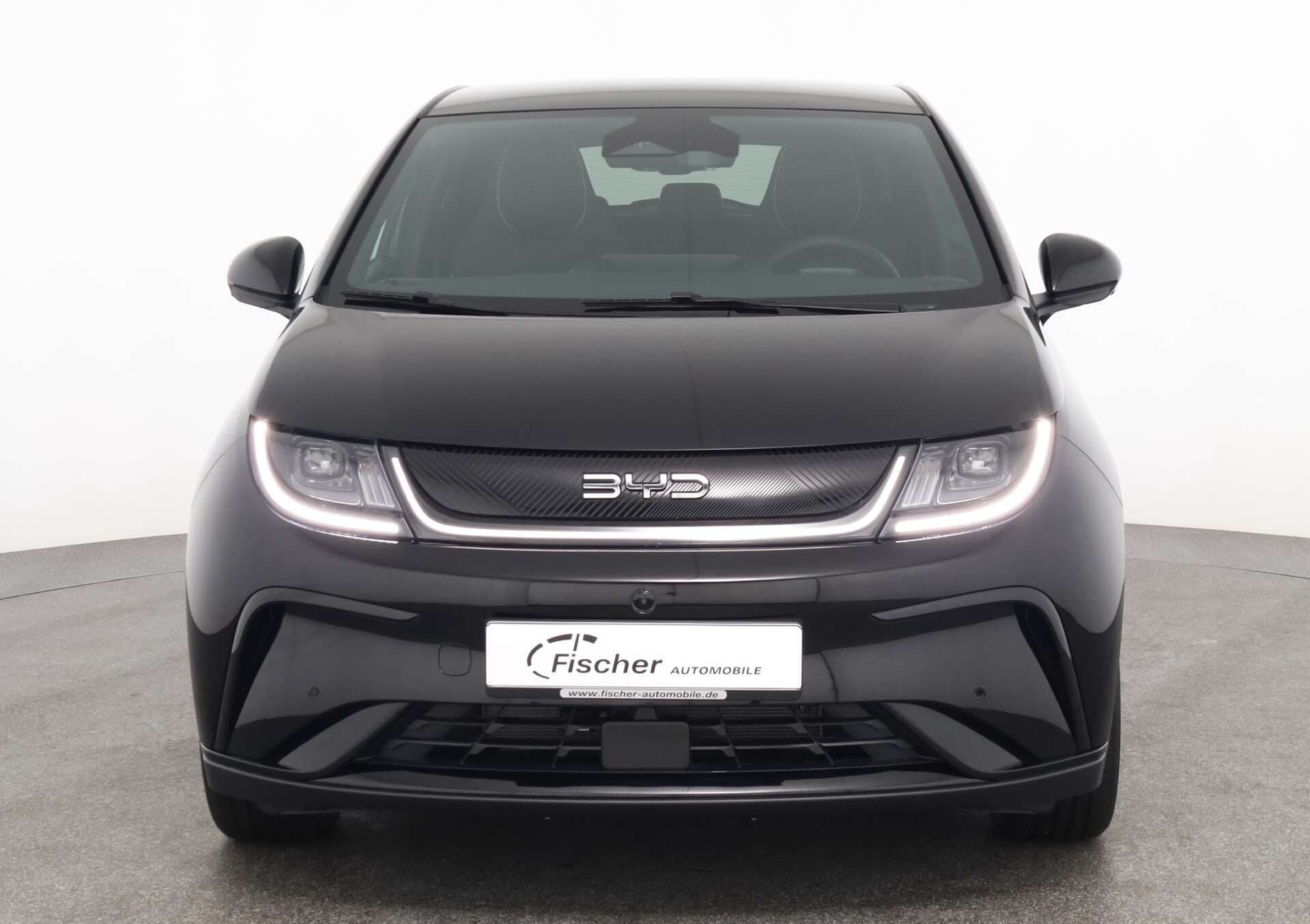 BYD Dolphin, photo 2 sur 17