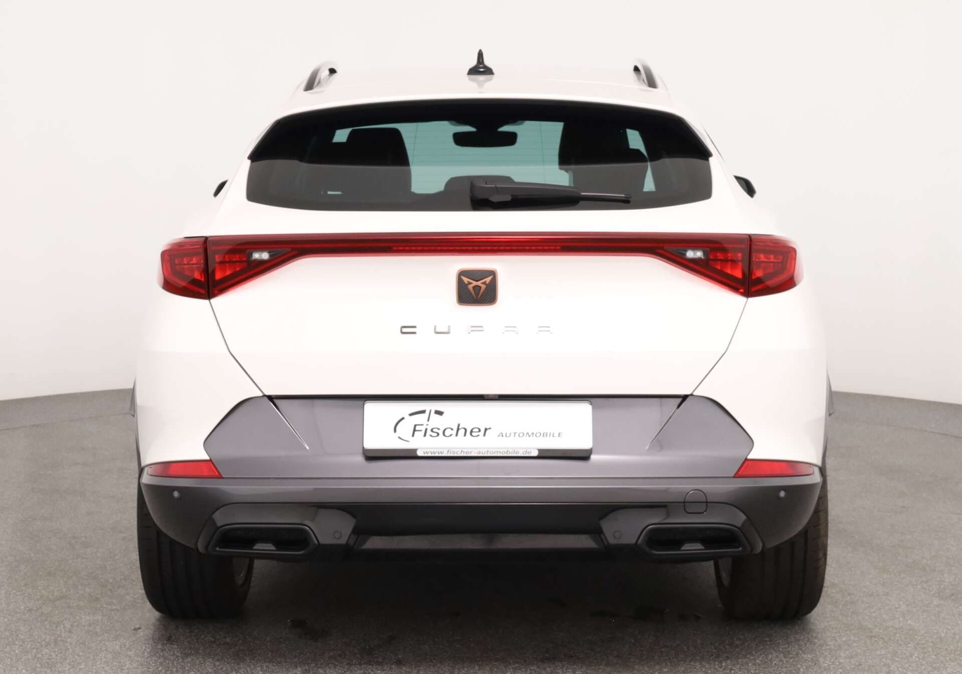 CUPRA Formentor, photo 5 sur 17